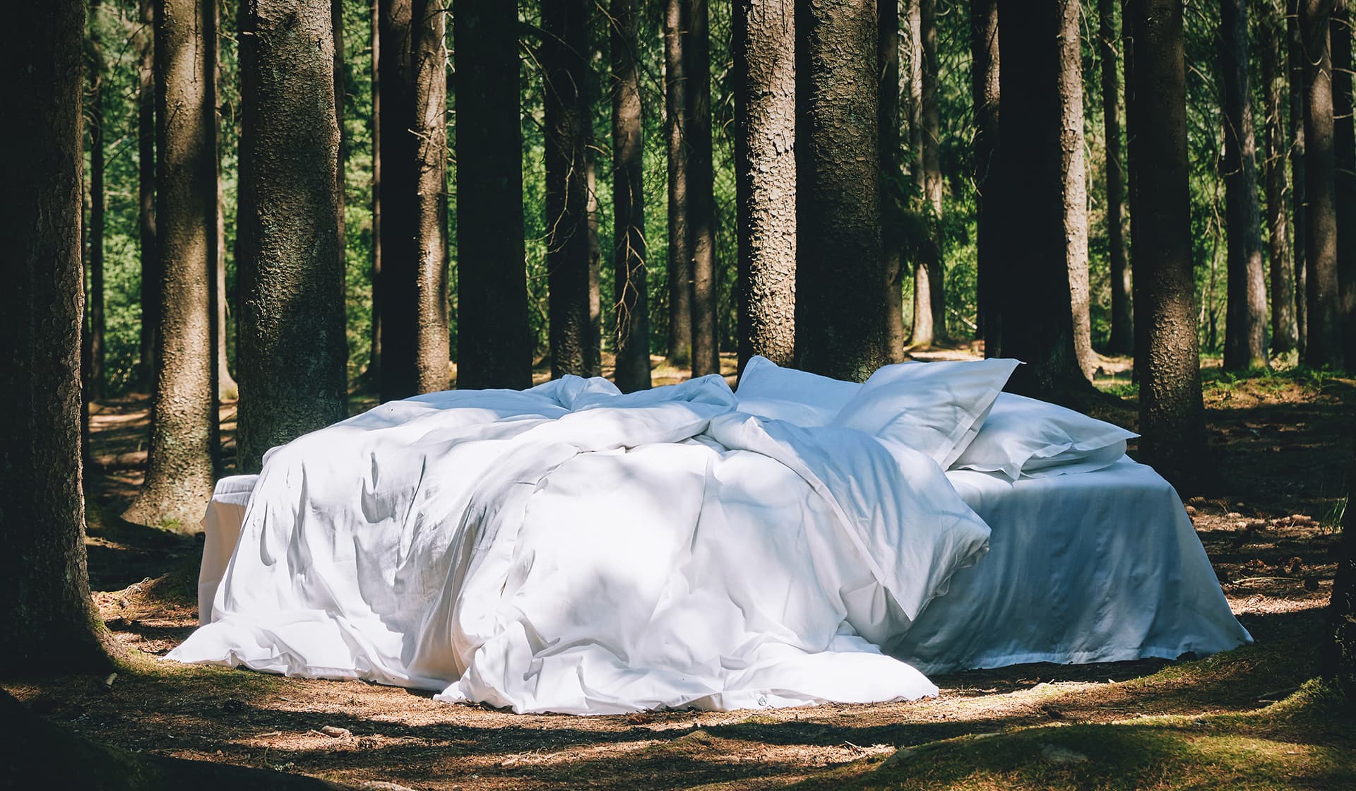 Sängkläder, handdukar, plädar, filtar i ekologisk bomull online. Köp nya hemtextilier från Alva